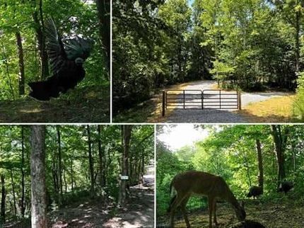 Property for sale in Meigs County, Ohio