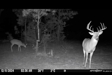 Property for sale in Jasper County, Texas