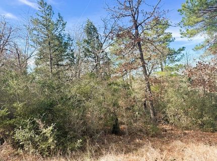Property for sale in Bastrop County, Texas
