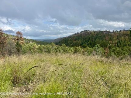 Undeveloped Land for sale in Lincoln County, New Mexico