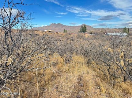 Property for sale in Santa Cruz County, Arizona
