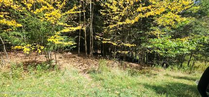 Undeveloped Land for sale in Greene County, New York