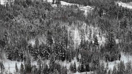 Undeveloped Land for sale in Caledonia County, Vermont