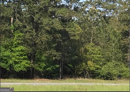 Property for sale in Lee County, Georgia