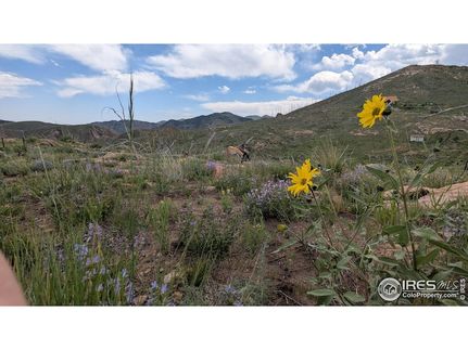 Undeveloped Land for sale in Larimer County, Colorado