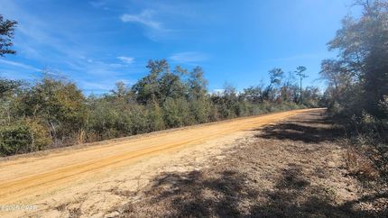 Undeveloped Land for sale in Jackson County, Florida