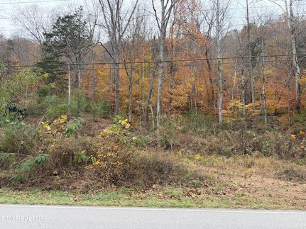Undeveloped Land for sale in Campbell County, Tennessee
