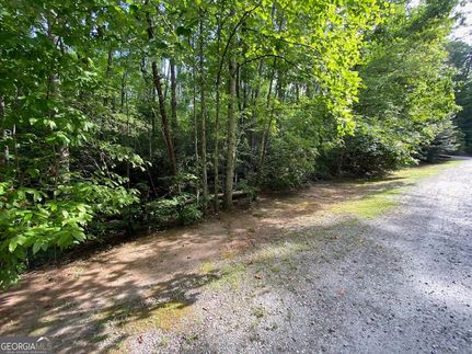 Undeveloped Land for sale in White County, Georgia