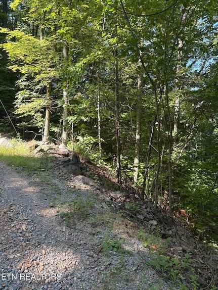 Property for sale in Sevier County, Tennessee