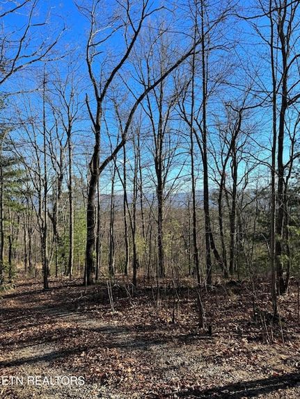 Undeveloped Land for sale in Blount County, Tennessee