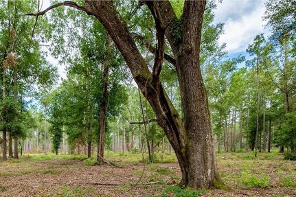 Residential Property for sale in Baker County, Georgia