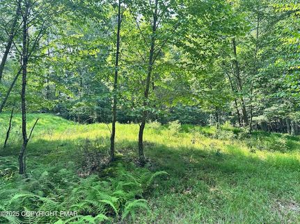 Undeveloped Land for sale in Monroe County, Pennsylvania