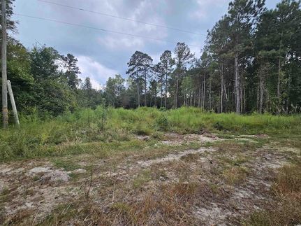 Property for sale in Marion County, South Carolina