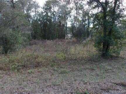 Property for sale in Citrus County, Florida