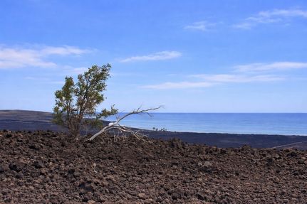 Undeveloped Land for sale in Hawaii County, Hawaii