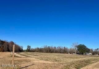 Undeveloped Land for sale in Columbus County, North Carolina