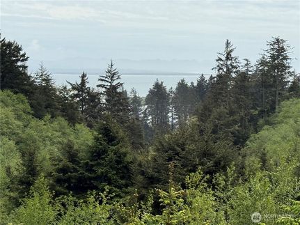 Property for sale in Pacific County, Washington