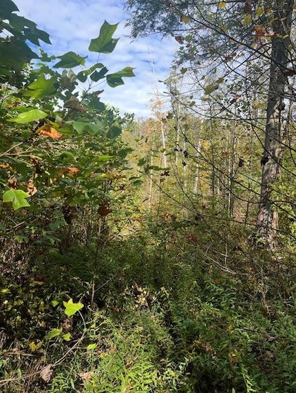 Undeveloped Land for sale in Raleigh County, West Virginia