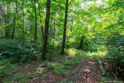 Undeveloped Land for sale in Litchfield County, Connecticut