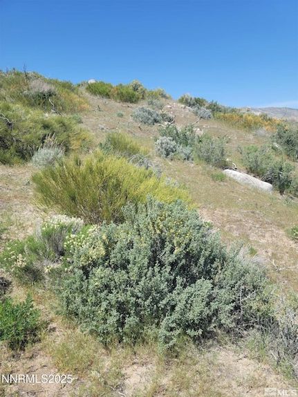 Property for sale in Washoe County, Nevada