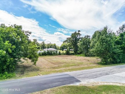 Undeveloped Land for sale in Columbus County, North Carolina