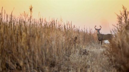 Property for sale in Texas County, Oklahoma