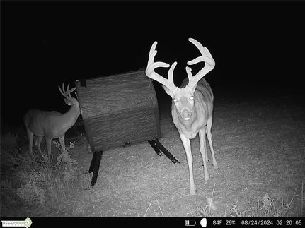 Property for sale in Texas County, Oklahoma