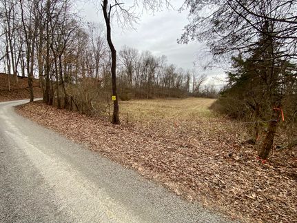 Undeveloped Land for sale in Highland County, Ohio
