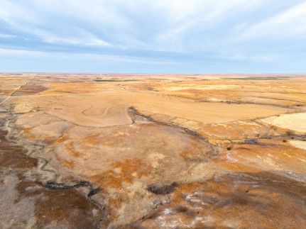 Hunting Land for sale in Ellis County, Oklahoma