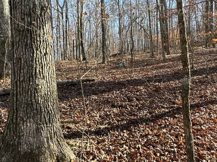 Property for sale in Polk County, Georgia