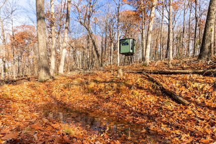 Property for sale in Callaway County, Missouri