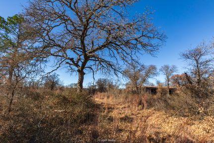 Hunting Land for sale in Jones County, Texas