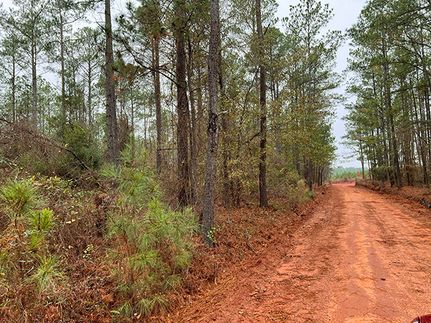 Hunting Land for sale in Washington County, Georgia