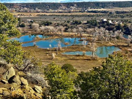 Waterfront Property for sale in La Plata County, Colorado