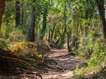 Property for sale in Limestone County, Texas