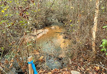 Property for sale in Washington County, Georgia