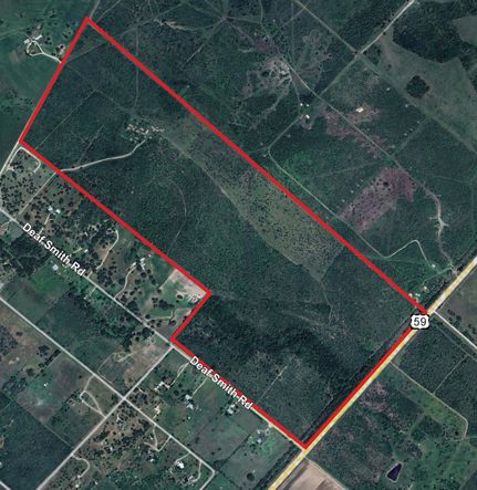 Hunting Land for sale in Bee County, Texas