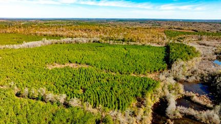 Property for sale in Macon County, Georgia