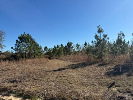 Recreational Property for sale in Laurens County, Georgia