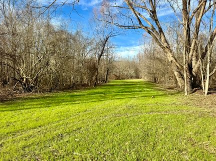 Hunting Land for sale in Sharkey County, Mississippi