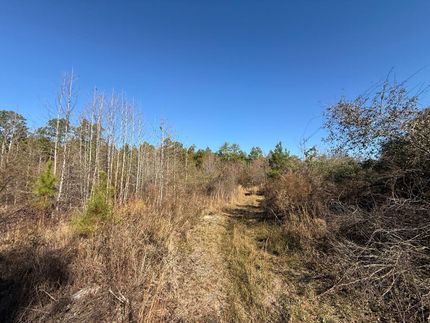 Recreational Property for sale in Laurens County, Georgia