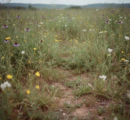 Property for sale in Bryan County, Oklahoma