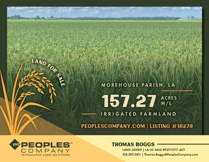 Undeveloped Land for sale in Morehouse Parish, Louisiana