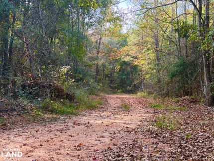 Property in Clarke County, Alabama