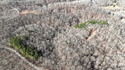 Property for sale in Houston County, Tennessee