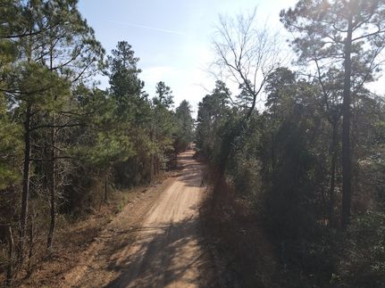 Property for sale in Dallas County, Arkansas