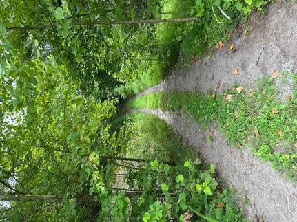 Undeveloped Land for sale in Richmond County, Virginia