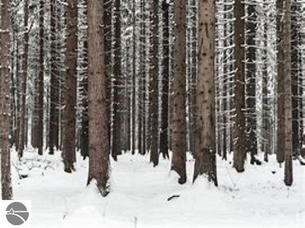 Property for sale in Grand Traverse County, Michigan