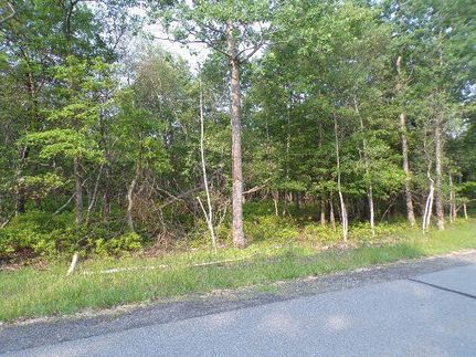 Undeveloped Land for sale in Monroe County, Pennsylvania