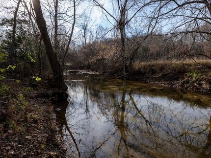 Property for sale in Polk County, Missouri